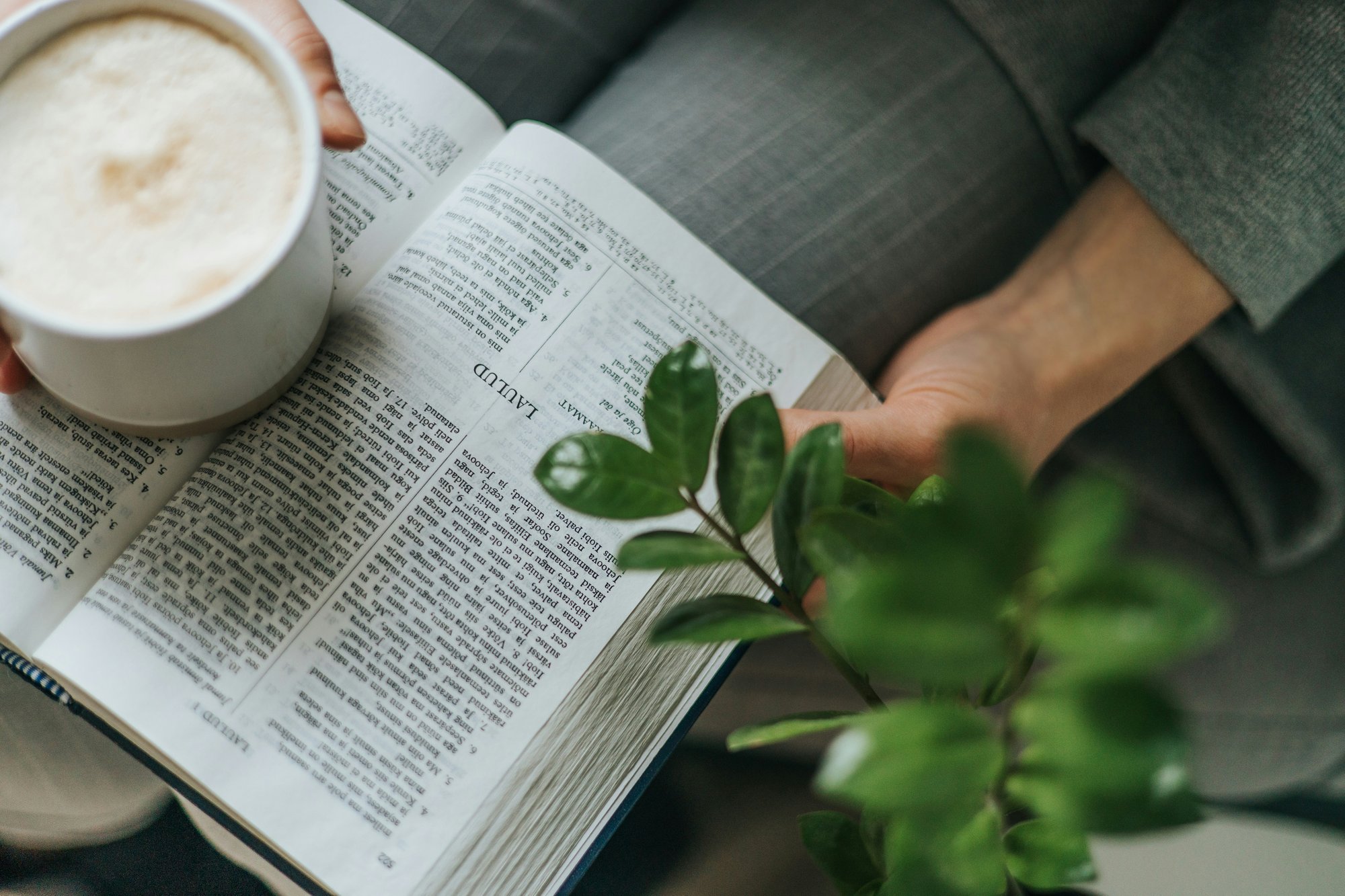 signe-lightland-vf-gUVvalXY-unsplash